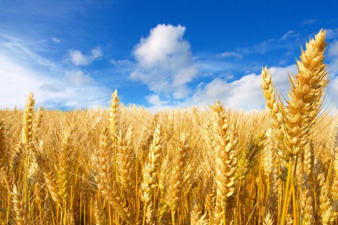 До конца войны - 10% на все миниатюры