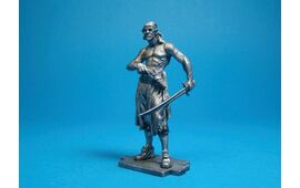 Пират с Тортуги