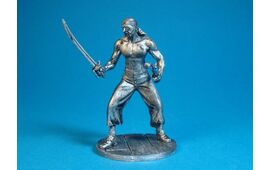 Пират в бою, XVIII век