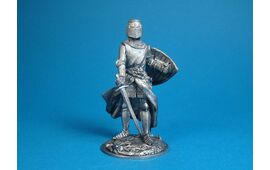 Рыцарь в битве под Хойницами, 1454 год