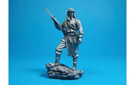 Индеец из племени Апачи, 1875 год