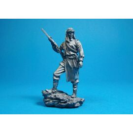 Индеец из племени Апачи, 1875 год