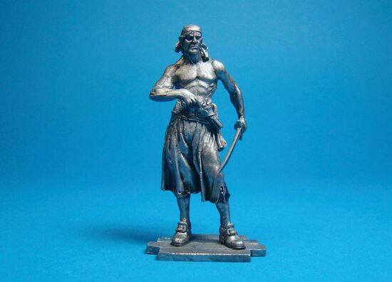 Пират с Тортуги