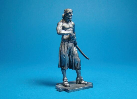 Пират с Тортуги