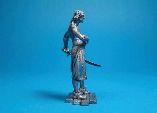 Пират с Тортуги