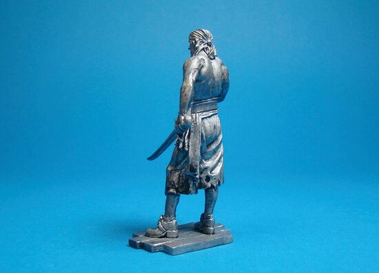 Пират с Тортуги