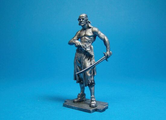 Пират с Тортуги