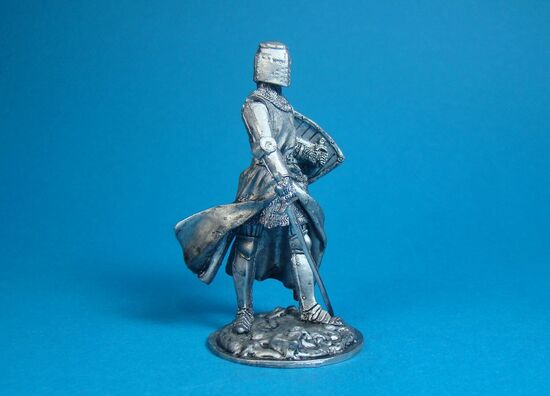 Рыцарь в битве под Хойницами, 1454 год